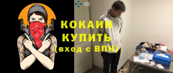 молекула духа Осинники