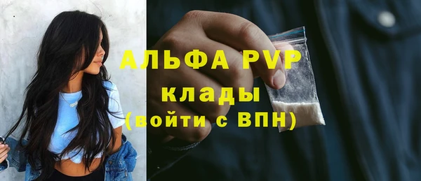 стаф Осташков