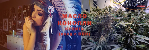 индика Бронницы